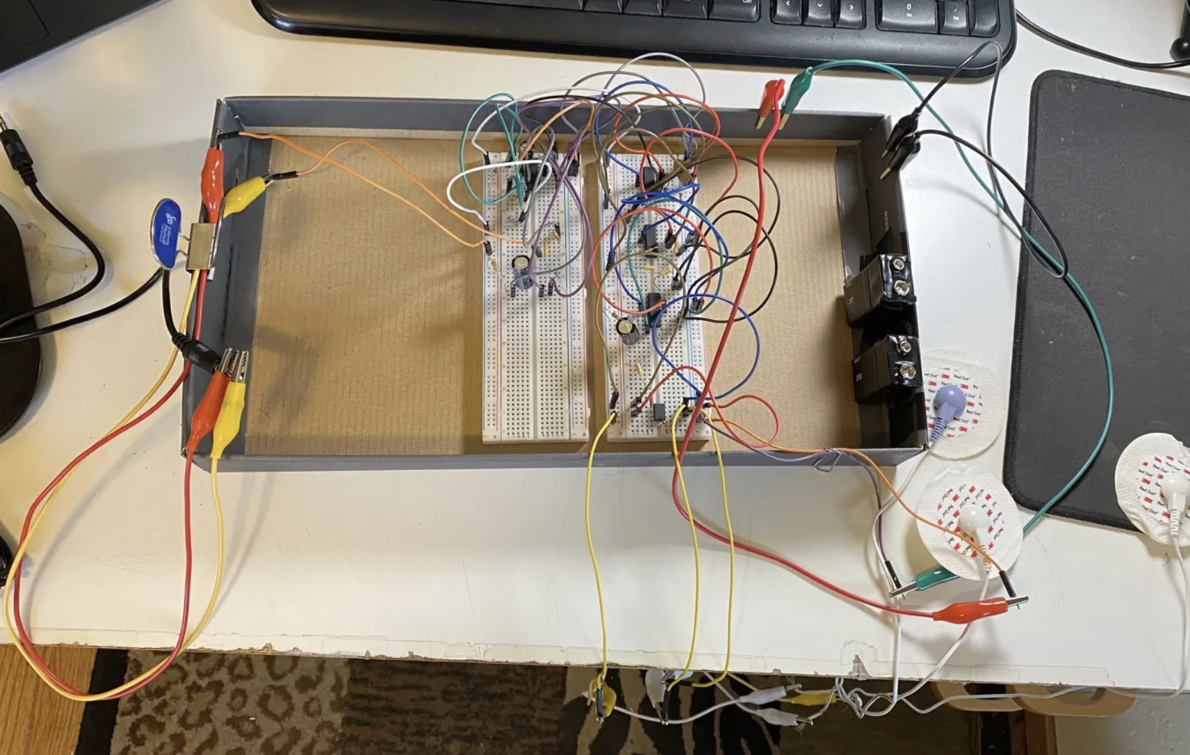 BCI Ver 1